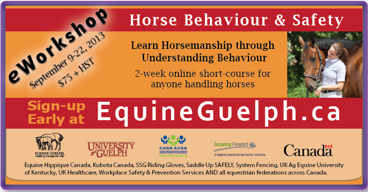 Get the details about the Equine Guelph Behaviour & Safety eworkshop