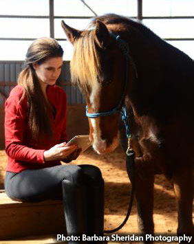 Girl and horse explore eWorkshop in barn