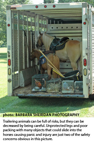 mare and foal in trailer