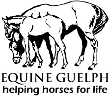 Equine Guelph logo image