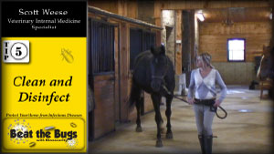 BIOSECURITY TIPS FOR HORSE FARMS video image