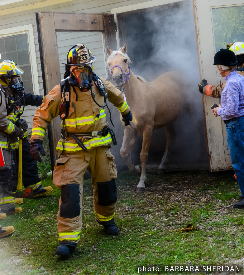 “Firefighter leading horse” wins 2nd place at 2015 Canadian Farm Writers’ Federation Award Banquet
