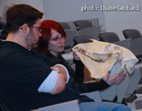 participants examine horse skull close-up