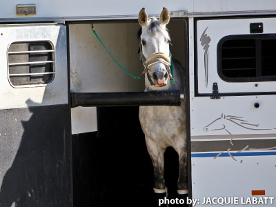 One cause of BioSecueity risk is travelling horses