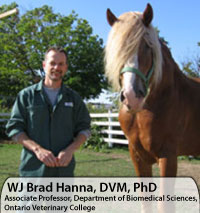 WJ Brad Hanna, DVM, PhD
