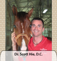 Dr. Scott Hie, D.C.