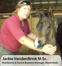 Jackie VandenBrink M.Sc., Nutritionist & Equine Business Manager, Masterfeeds