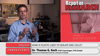 Thomas Koch Report on Research Video