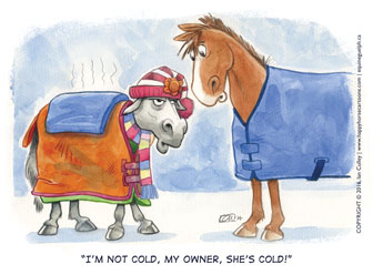 'I'm not Cold' by Ian Culley