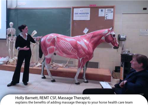 Holly Barnett explains the benefits of adding massage therapy to your horse health care team