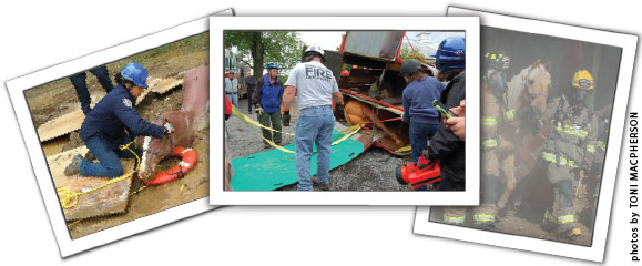 Large Animal Rescue Operational Level Course collage