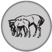 (button) Why Equine Guelph? icon