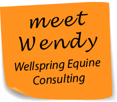 meet Wendy - Wellspring Equine Consulting