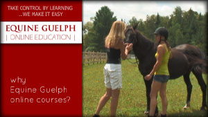 (button) ONLINE HORSE EDUCATION