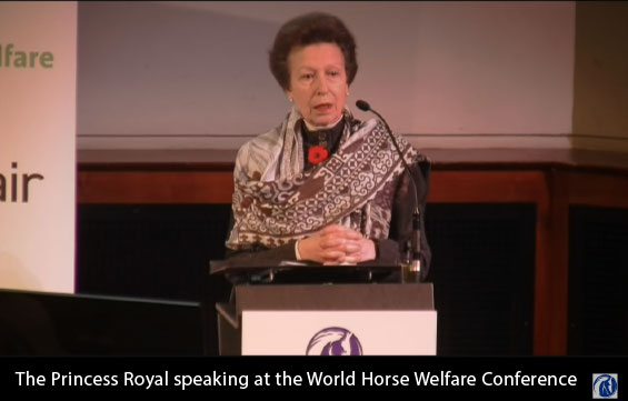The Princess Royal at the World Horse Welfare 2015 conference