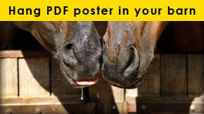 (button) image from PROTECT YOUR HORSE FROM GETTING SICK poster