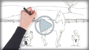 (button) image from INFECTION CONTROL IN TODAY'S RACING INDUSTRY whiteboard video