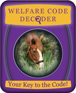 (button) Welfare Code Decoder
