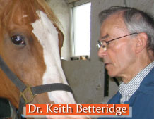 Dr. Keith Betteridge with horse