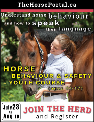 Horse Behaviour & Safety online course