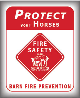 Fire Prevention and Safety icon