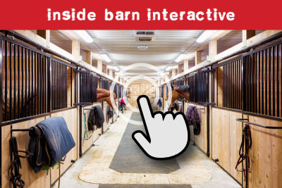 Inside barn interactive