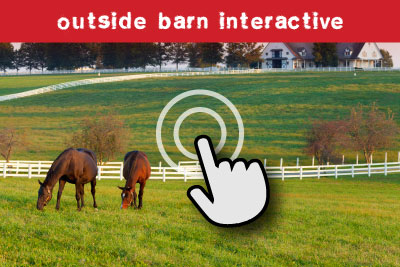 Outside barn interactive