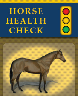Horse Health Check