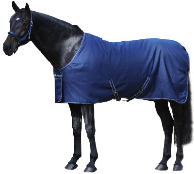 Blanketed horse